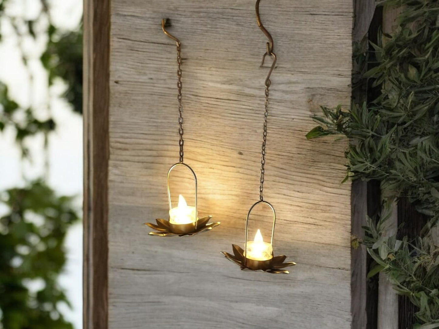 Premium Hanging Baby Lotus (Pack Of 6)