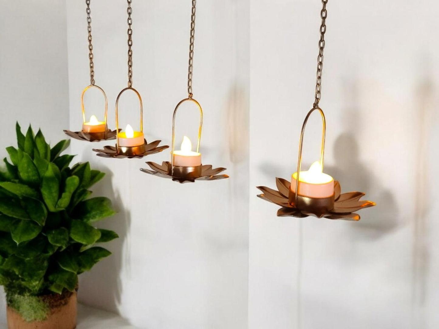 Premium Hanging Baby Lotus (Pack Of 6)