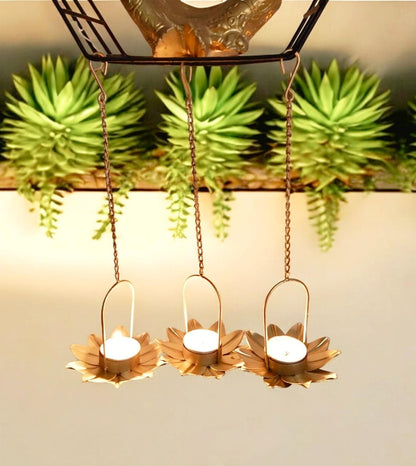 Premium Hanging Baby Lotus (Pack Of 6)